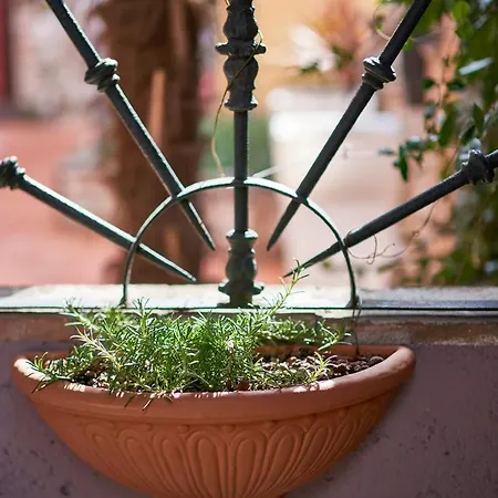 Apartamento La Piazzetta *